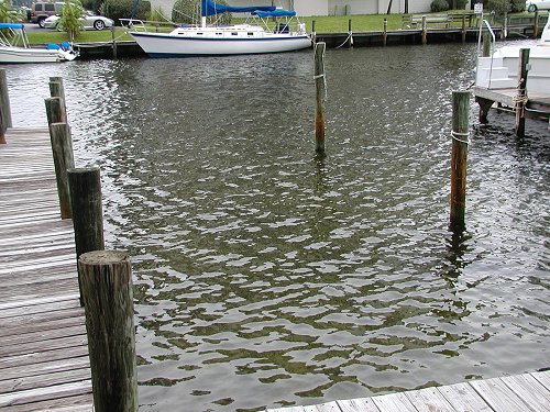 Boat Dock View